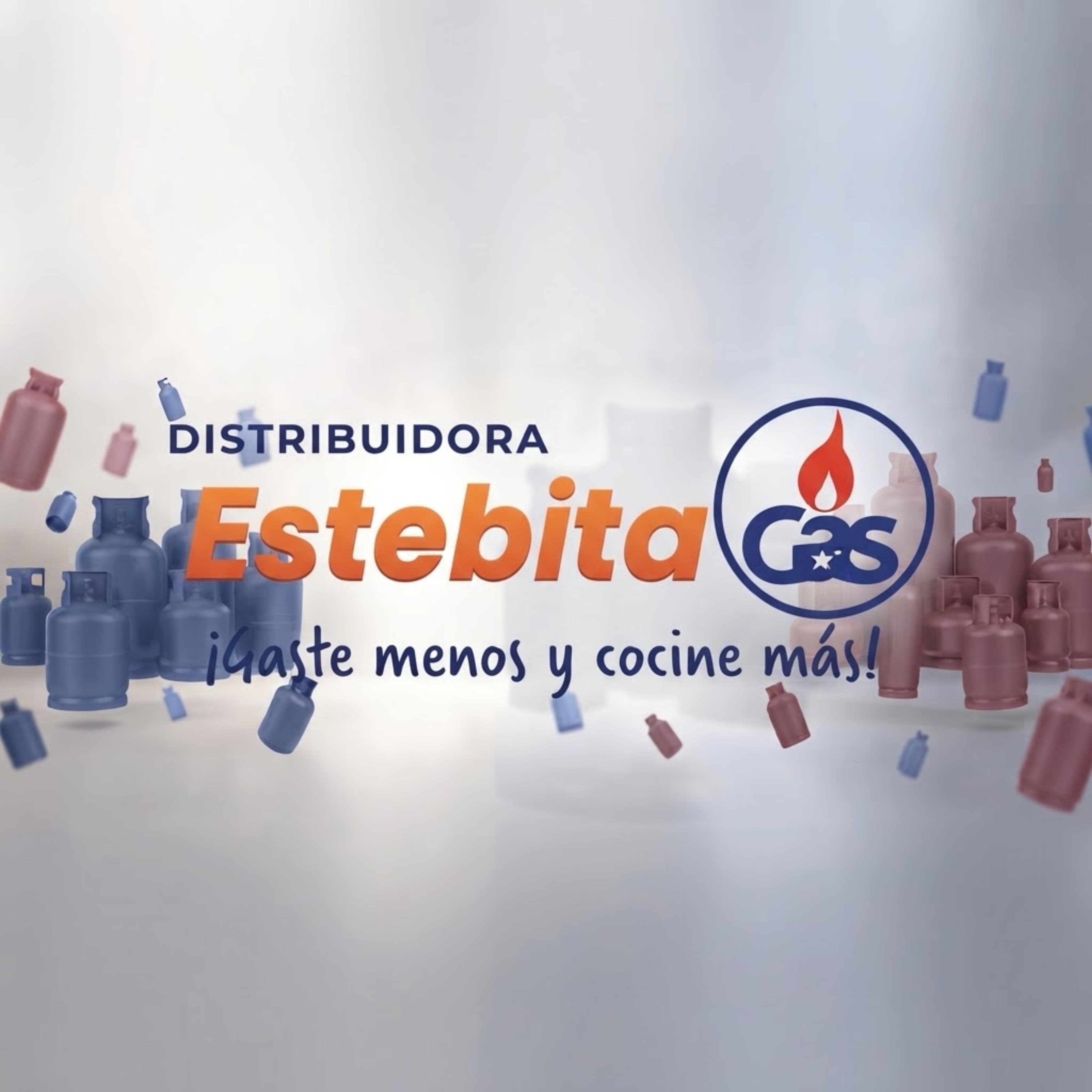 Distribuidora Estebita Gas (San José) 1